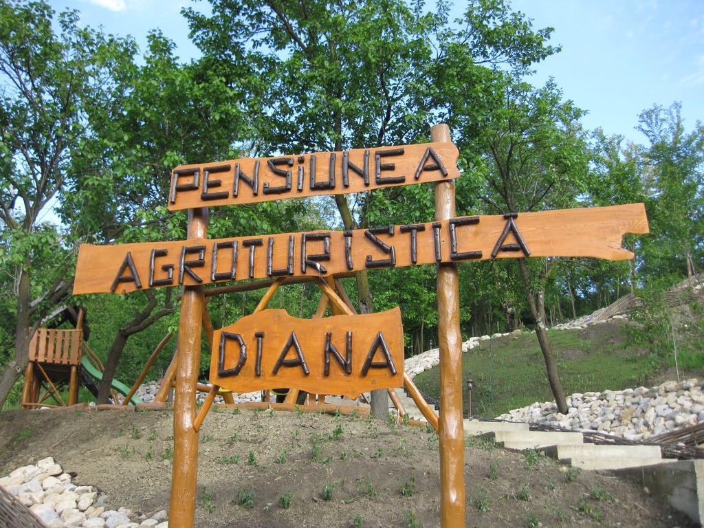Pensiunea Agroturistica Diana ماغورا المظهر الخارجي الصورة